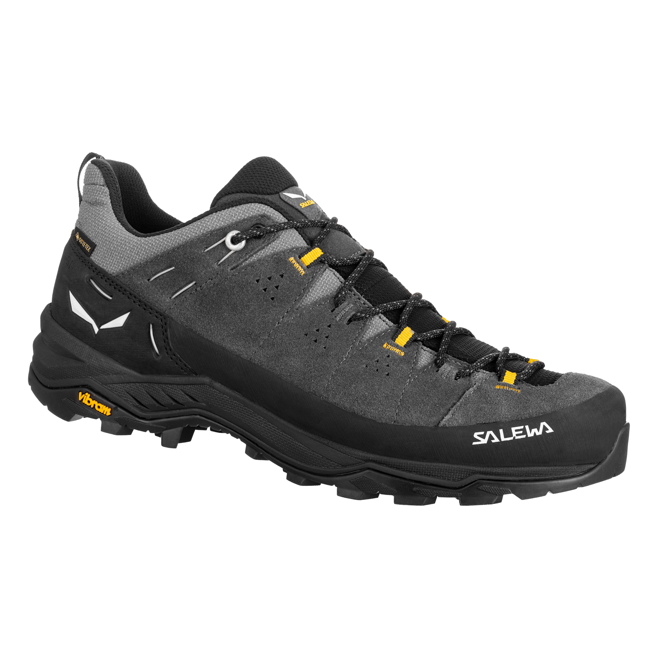 Alp Trainer 2 Gore-Tex® Shoe Pánske