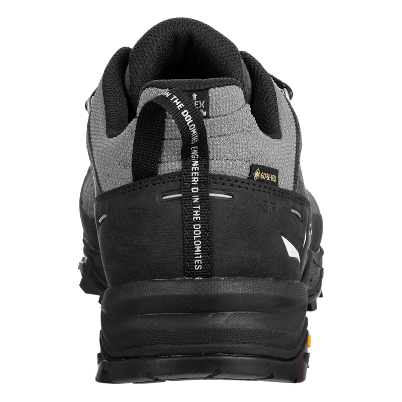 Alp Trainer 2 Gore-Tex® Shoe Pánske
