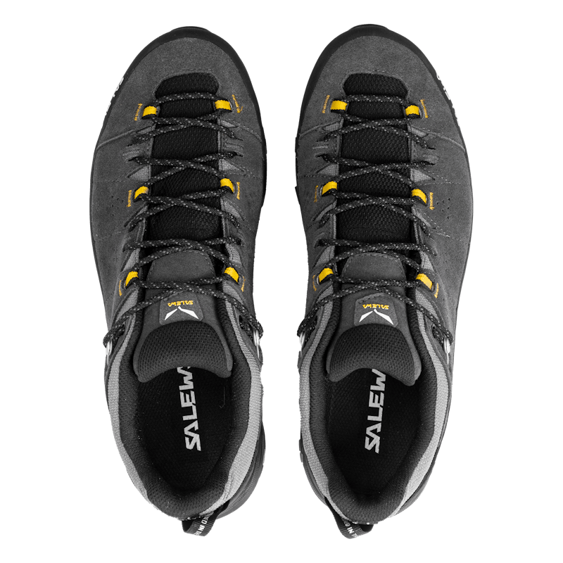Alp Trainer 2 Gore-Tex® Shoe Pánske
