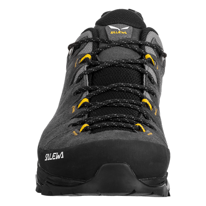 Alp Trainer 2 Gore-Tex® Shoe Pánske