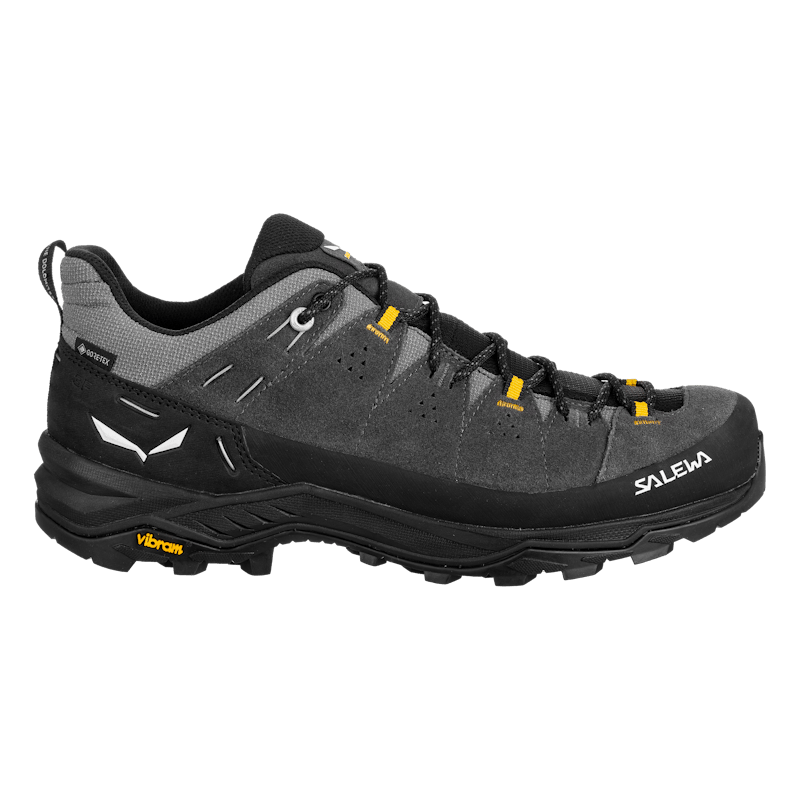 Alp Trainer 2 Gore-Tex® Shoe Pánske