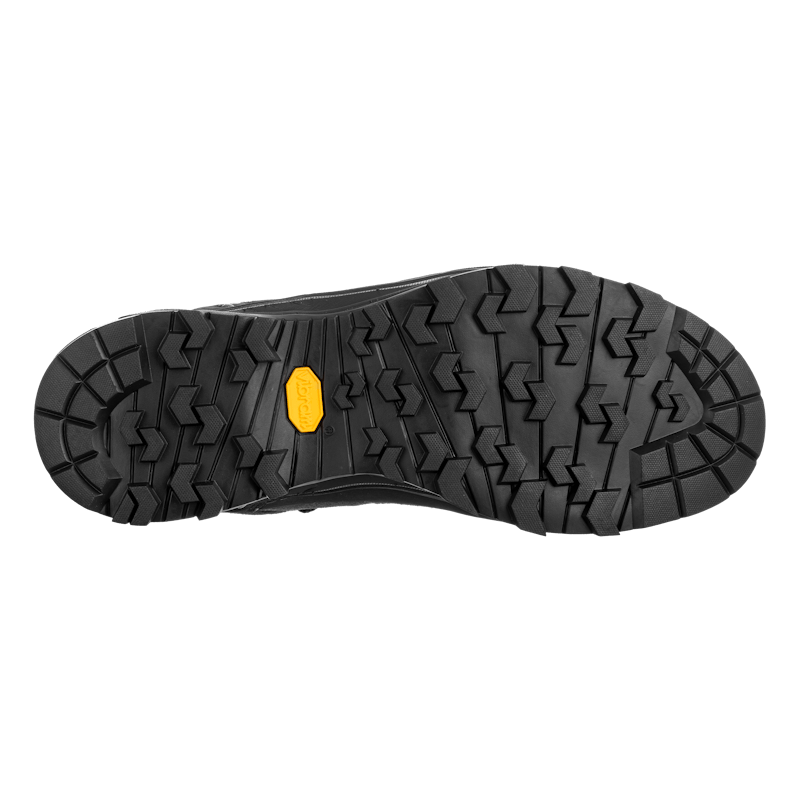 Alp Trainer 2 Gore-Tex® Shoe Pánske