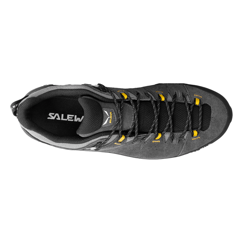 Alp Trainer 2 Gore-Tex® Shoe Pánske