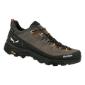 Alp Trainer 2 Gore-Tex® Shoe Pánske