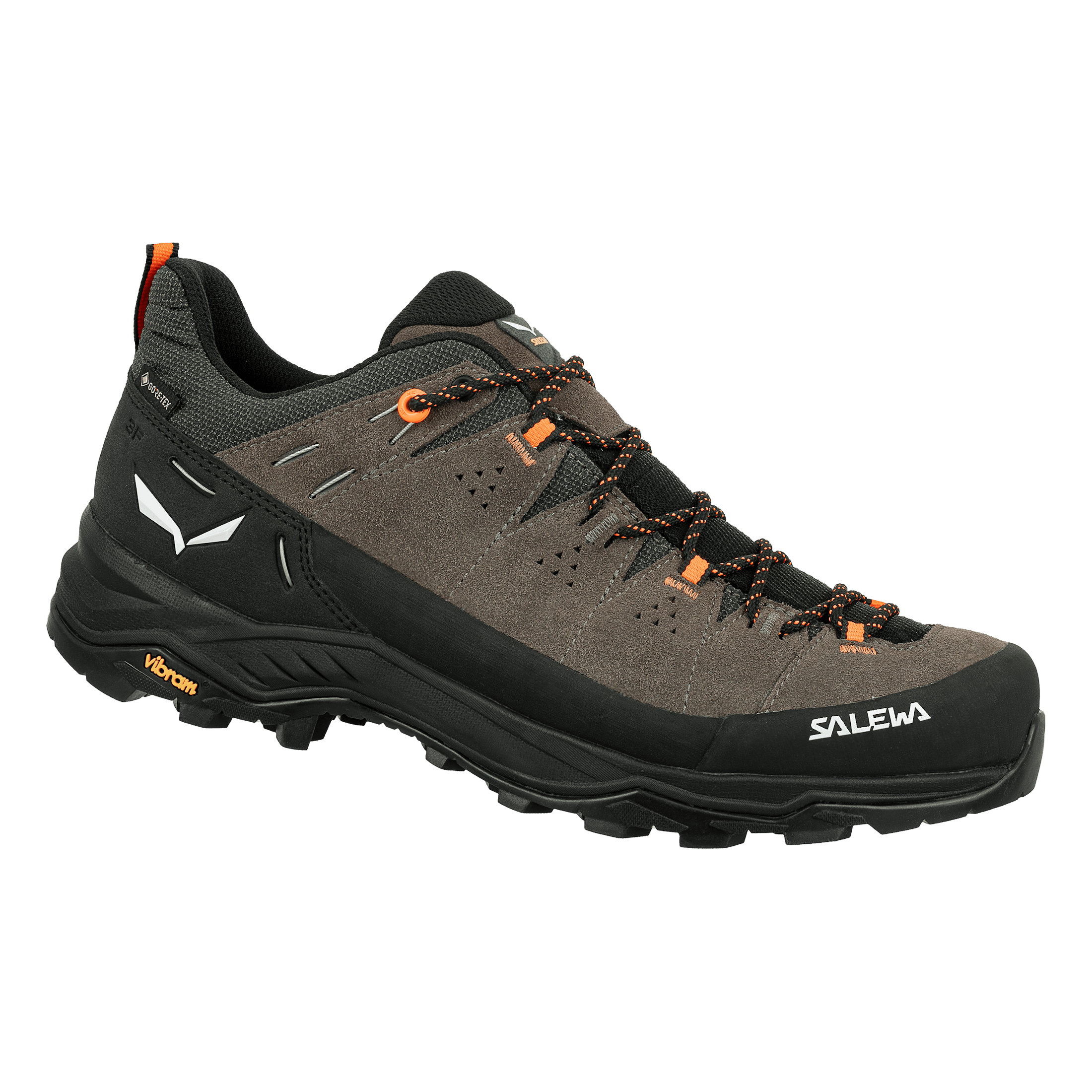 Alp Trainer 2 Gore-Tex® Shoe Pánske