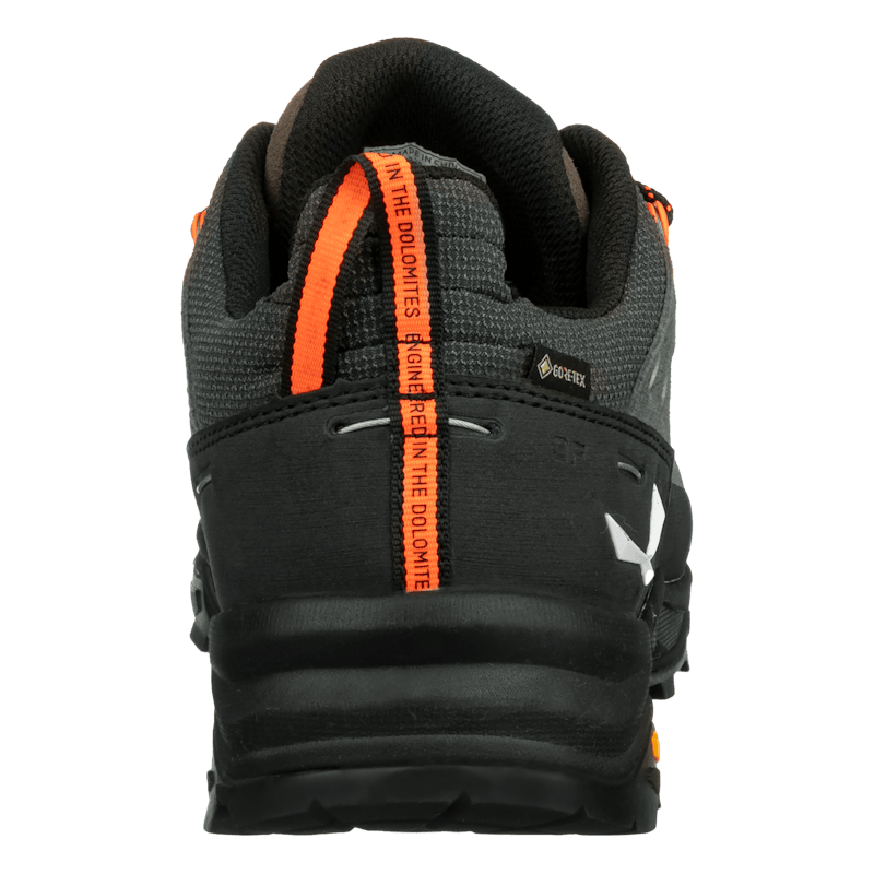 Alp Trainer 2 Gore-Tex® Shoe Pánske