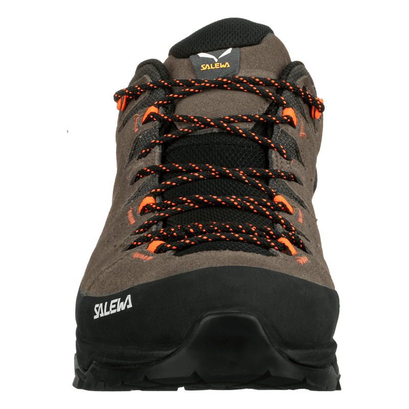 Alp Trainer 2 Gore-Tex® Shoe Pánske