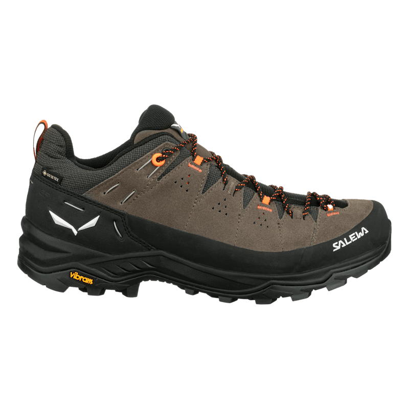 Alp Trainer 2 Gore-Tex® Shoe Pánske