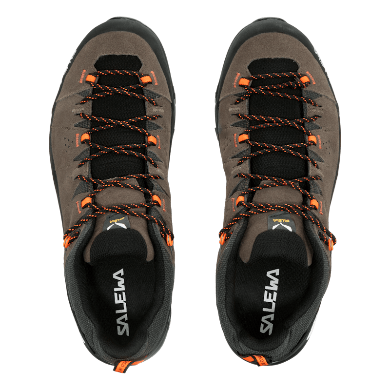 Alp Trainer 2 Gore-Tex® Shoe Pánske